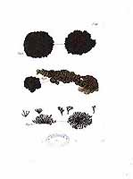  no thumbnail available