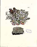  no thumbnail available