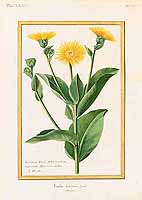 no HD illustration available (5) 