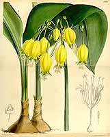  no thumbnail available