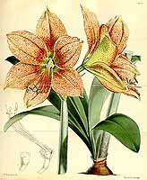  no thumbnail available