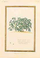 no HD illustration available (5) 