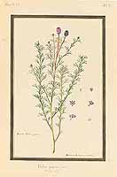 no HD illustration available (5) 