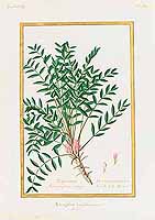 no HD illustration available (5) 