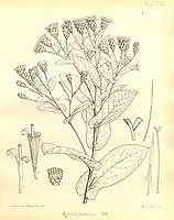  no thumbnail available