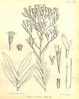  no thumbnail available