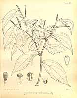  no thumbnail available