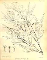  no thumbnail available