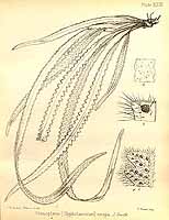  no thumbnail available