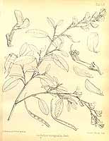  no thumbnail available