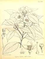  no thumbnail available