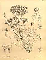  no thumbnail available