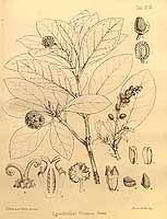  no thumbnail available