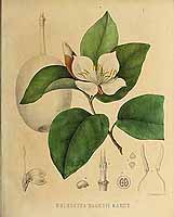  no thumbnail available