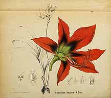  no thumbnail available