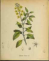  no thumbnail available