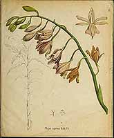  no thumbnail available