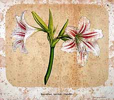  no thumbnail available