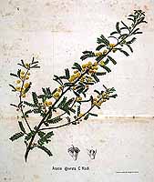  no thumbnail available