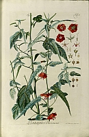  no thumbnail available