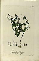  no thumbnail available