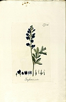  no thumbnail available