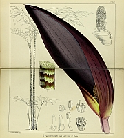  no thumbnail available