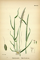  no thumbnail available