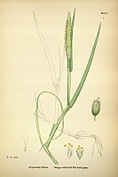  no thumbnail available