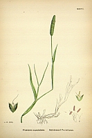  no thumbnail available