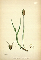  no thumbnail available