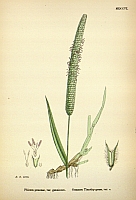  no thumbnail available