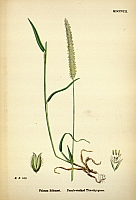  no thumbnail available