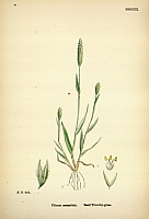  no thumbnail available