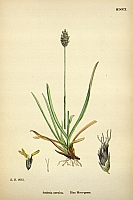  no thumbnail available