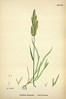  no thumbnail available