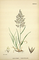  no thumbnail available