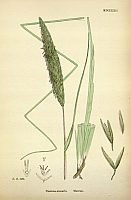  no thumbnail available