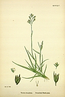  no thumbnail available