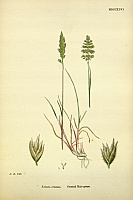  no thumbnail available