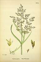  no thumbnail available