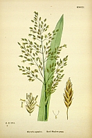  no thumbnail available