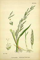  no thumbnail available