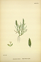  no thumbnail available