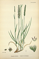  no thumbnail available