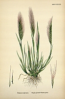  no thumbnail available