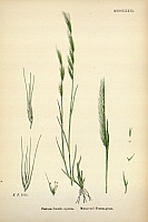  no thumbnail available