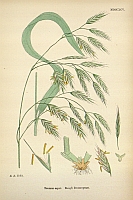  no thumbnail available