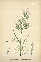  no thumbnail available