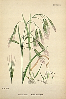  no thumbnail available